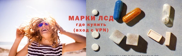 амф Ельня