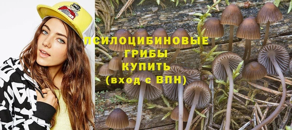 марки nbome Белокуриха