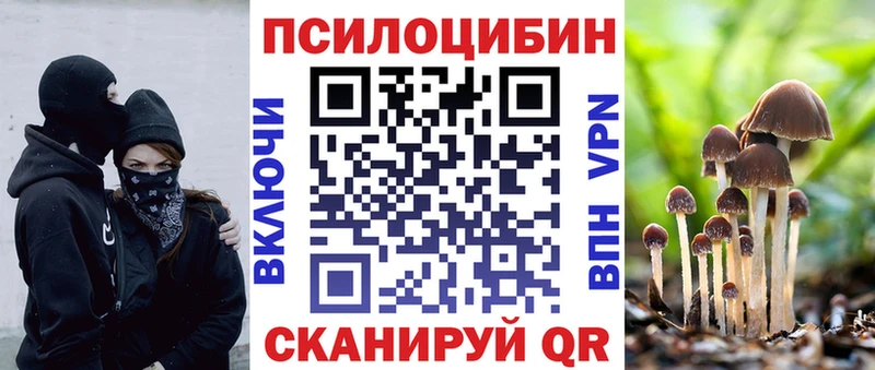 MEGA маркетплейс  Бутурлиновка  Галлюциногенные грибы Psilocybine cubensis 